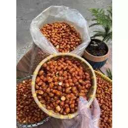 Sỉ 5kg Đậu phộng tỏi ớt (nguyên bao)