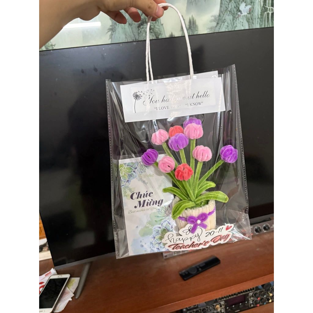 ( Sỉ 100c) Túi đựng hoa, túi kính. Combo  50-100 túi Xxs , Xs, S, M, L, túi quà 25x30