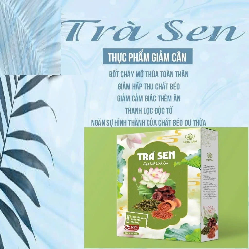 Trà Sen Gạo Lứt Linh Chi Chính Hãng Cao Cấp ✅ Trà giảm cân giảm béo ngủ ngon tuần hoàn máu tốt thanh nhiệt hộp 30 gói