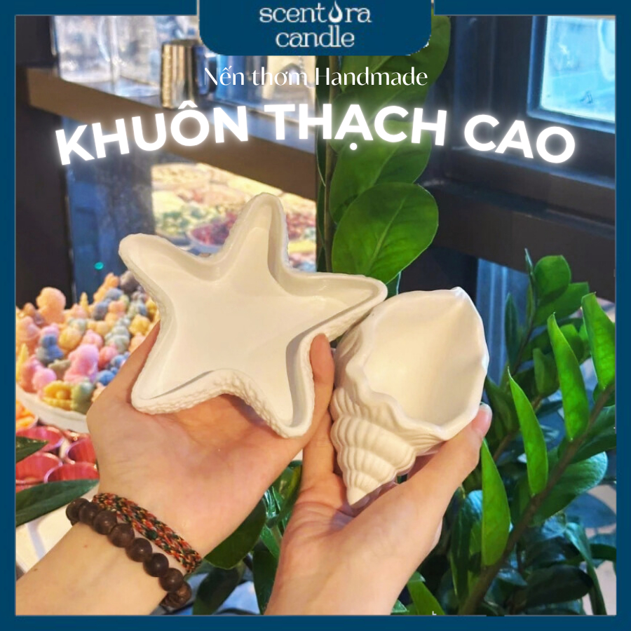 Vỏ ốc thạch cao làm nến ScentoraCandle, đựng phụ kiện, trang trí, decor chụp hình