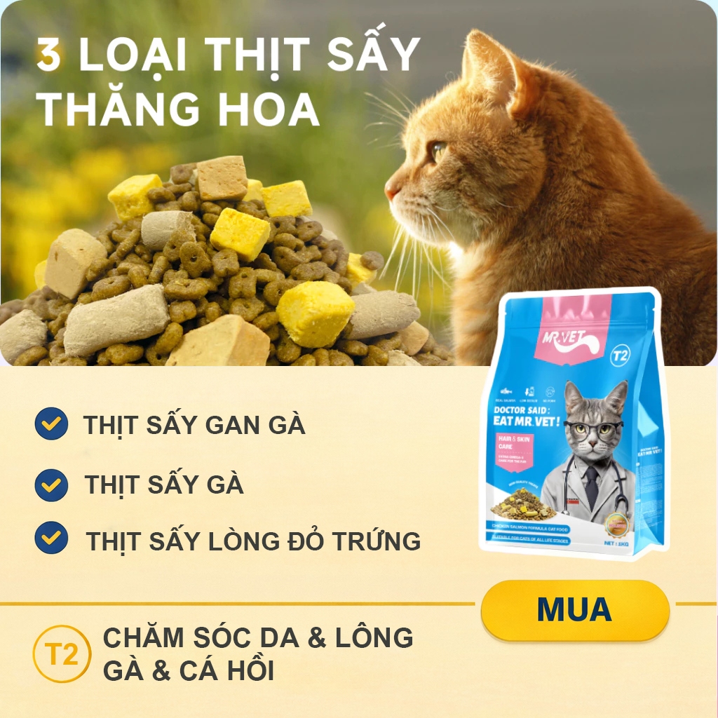 Hạt cho mèo MRVET T2 Gói 1KG công thức kết hợp cá hồi và gà giúp cải thiện da, lông, phù hợp cho mọi lứa tuổi mèo