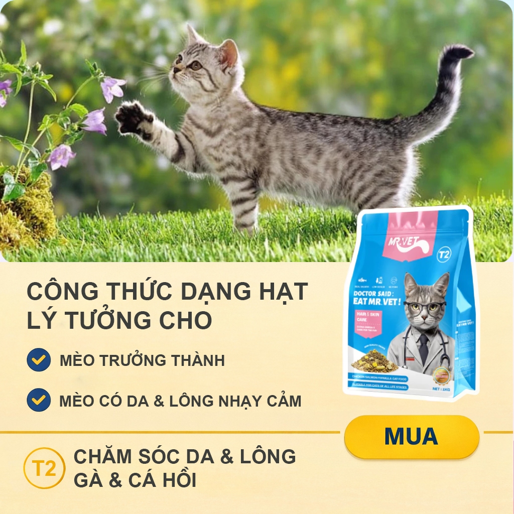 Hạt cho mèo MRVET T2 Gói 1KG công thức kết hợp cá hồi và gà giúp cải thiện da, lông, phù hợp cho mọi lứa tuổi mèo