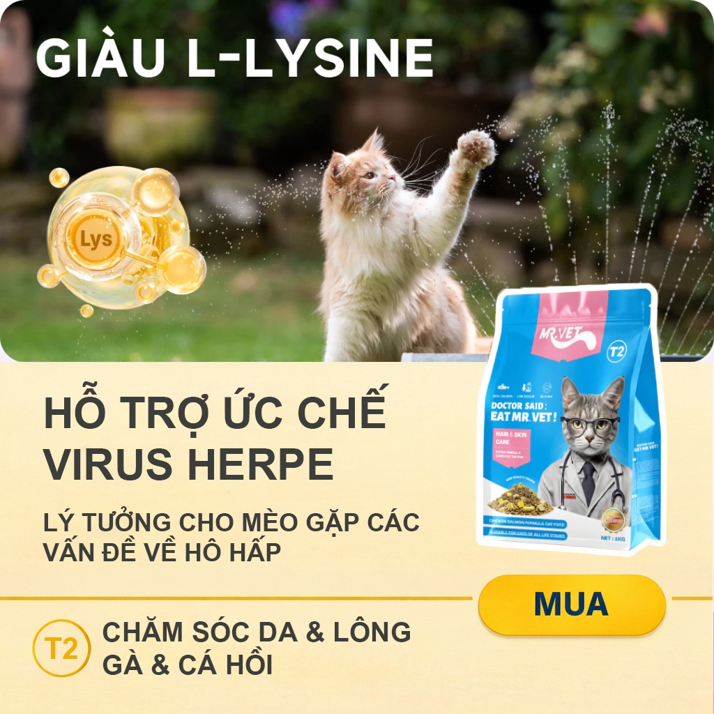 Hạt cho mèo MRVET T2 Gói 1KG công thức kết hợp cá hồi và gà giúp cải thiện da, lông, phù hợp cho mọi lứa tuổi mèo