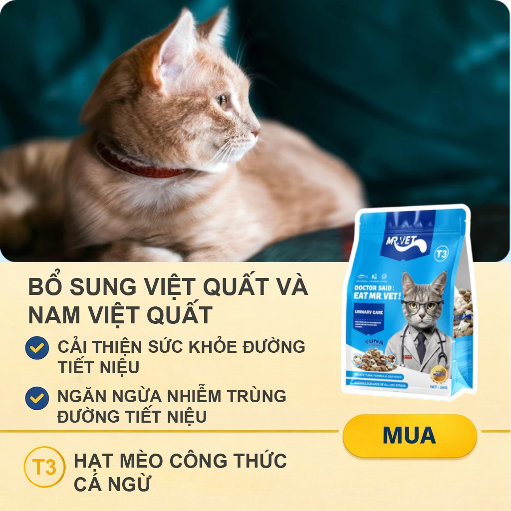Hạt cho mèo MRVET T3 gói 1KG công thức 4 loại cá biển mix topping ruốc gà cải thiện tiết niệu