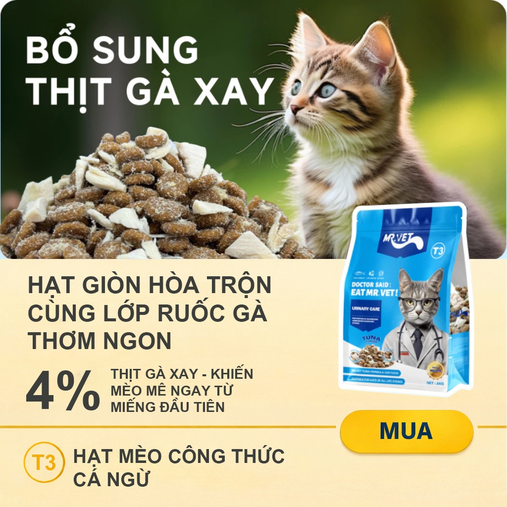 Hạt cho mèo MRVET T3 gói 1KG công thức 4 loại cá biển mix topping ruốc gà cải thiện tiết niệu