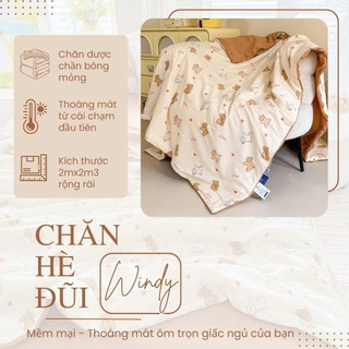 Chăn hè chần bông Cotton Đũi Windy M2T BEDDING kích thước 2mx2m3- Mềm mại, Mịn màng dùng 4 mùa