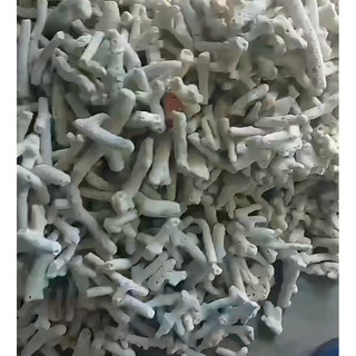 San Hô đũa hàng đẹp - trang trí hồ cá| lang hồ thuỷ sinh| biotop| vật liệu lọc cho hồ cá ổn định vi sinh tự nhiên