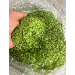 Cốm Xanh Dẻo Thơm – Đặc Sản Truyền Thống – Nguyên Liệu Bánh Cốm, Chè Cốm Chuẩn Vị