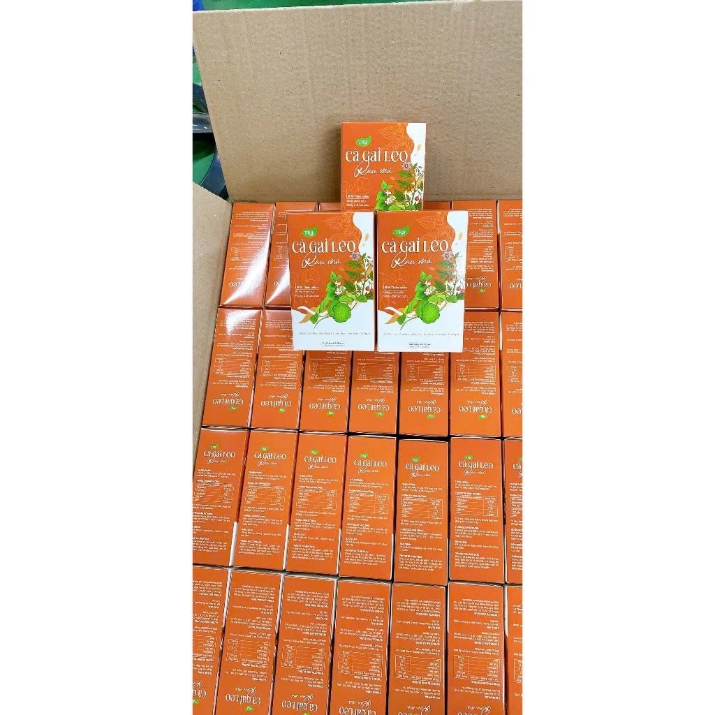 Trà Cà Gai Leo Rau Má Chính Hãng Cao Cấp ✅ Trà mát gan thanh nhiệt giải độc đẹp sáng da tăng cường sức khỏe hộp 30 gói