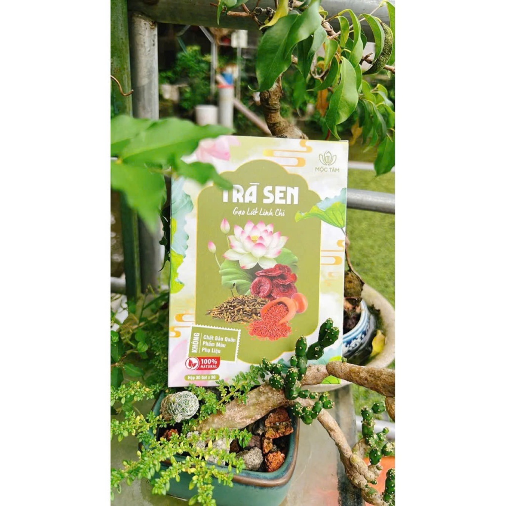 Trà Sen Gạo Lứt Linh Chi Chính Hãng Cao Cấp ✅ Trà giảm cân giảm béo ngủ ngon tuần hoàn máu tốt thanh nhiệt hộp 30 gói