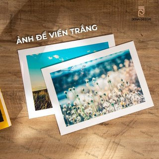 Combo 200 ảnh 6x9 in mực 12 màu siêu nét và bền(Mực in ảnh Lab)