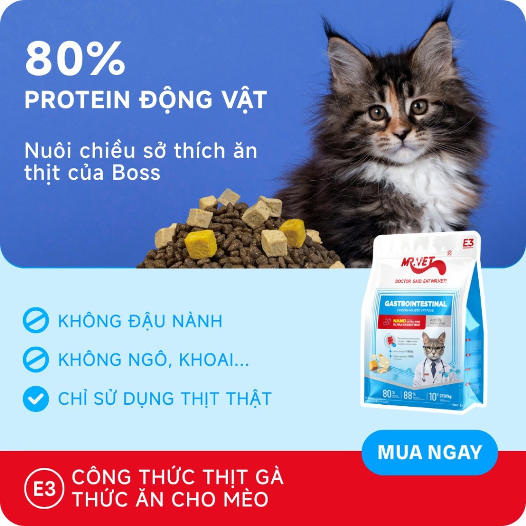 Hạt Cho Mèo MRVET E3 Gói 50G Công Thức Protein Siêu Mịn, Chăm Sóc Hệ Tiêu Hóa Chuyên Sâu