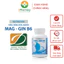 Viên Chống Nôn, Nghén MAG-GIN B6 cho bà bầu, ngừa buồn nôn, nôn, say xe, hộp 60v