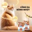 Pate Cho Mèo ON25 PATE 80g Thịt Thật Dinh Dưỡng, Chăm Sóc Da Lông Bóng Mượt