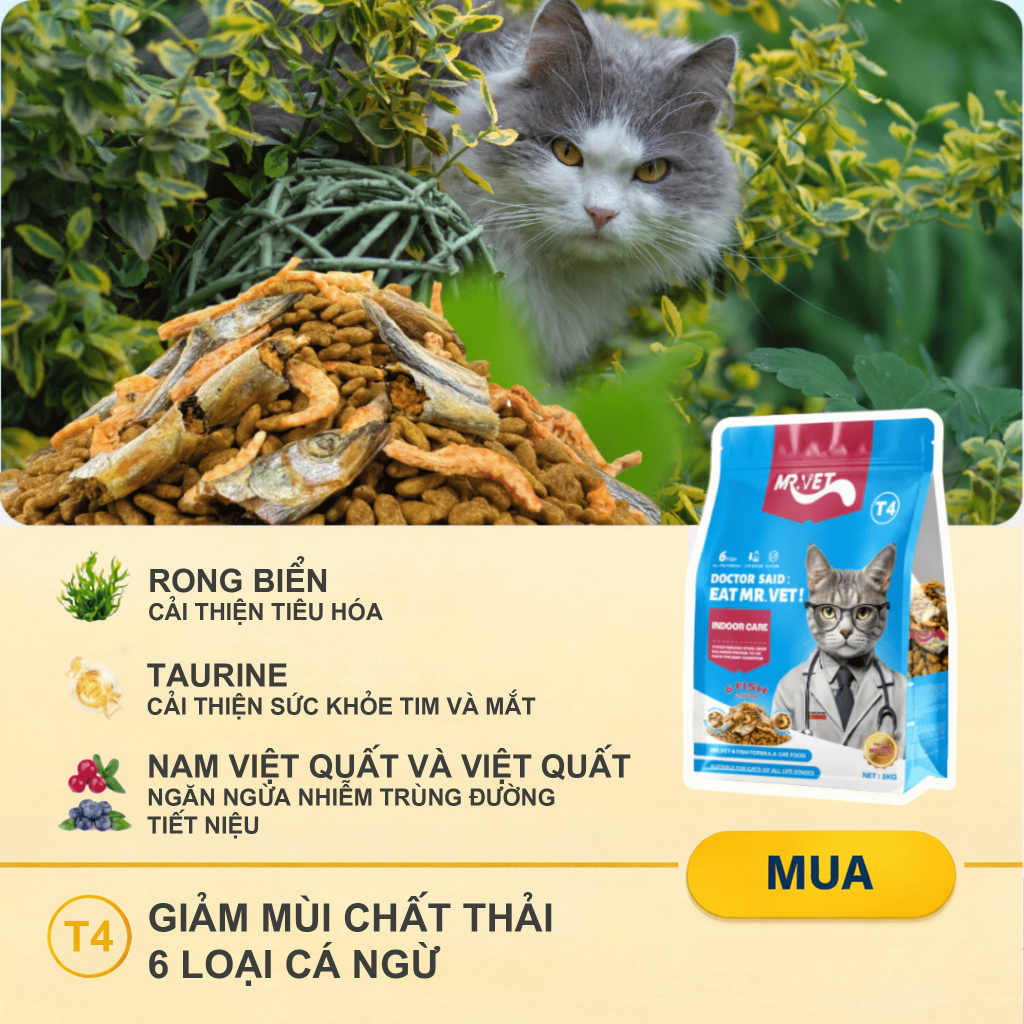 Hạt cho mèo MR.VET T4 Gói 1KG Công thức Đặc Biệt Phối Hợp 6 loại cá Cá ngừ, Cá hồi, Cá Bonito, Cá cơm, Cá tuyết