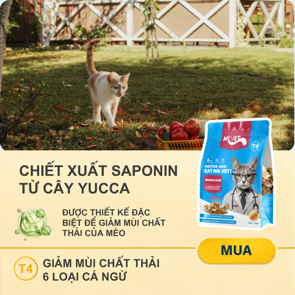 Hạt cho mèo MR.VET T4 Gói 1KG Công thức Đặc Biệt Phối Hợp 6 loại cá Cá ngừ, Cá hồi, Cá Bonito, Cá cơm, Cá tuyết