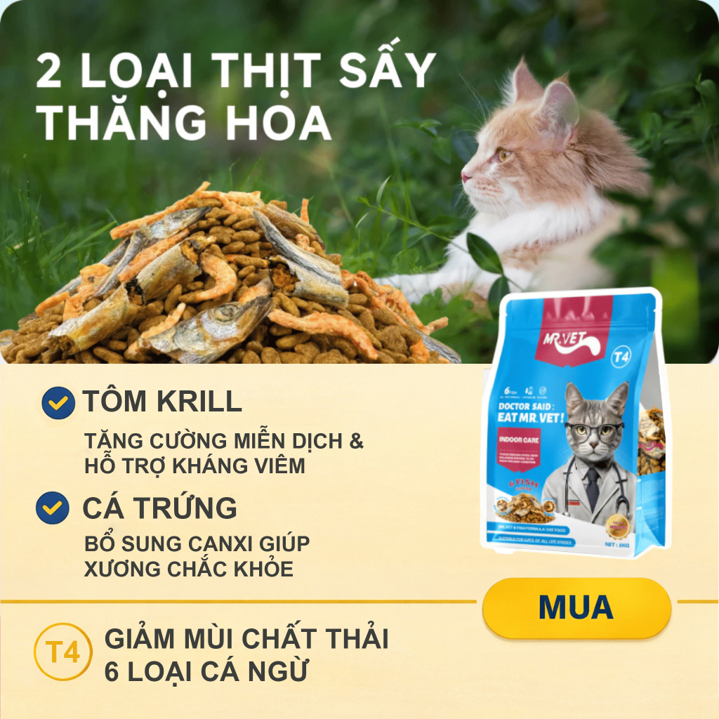 Hạt cho mèo MR.VET T4 Gói 1KG Công thức Đặc Biệt Phối Hợp 6 loại cá Cá ngừ, Cá hồi, Cá Bonito, Cá cơm, Cá tuyết