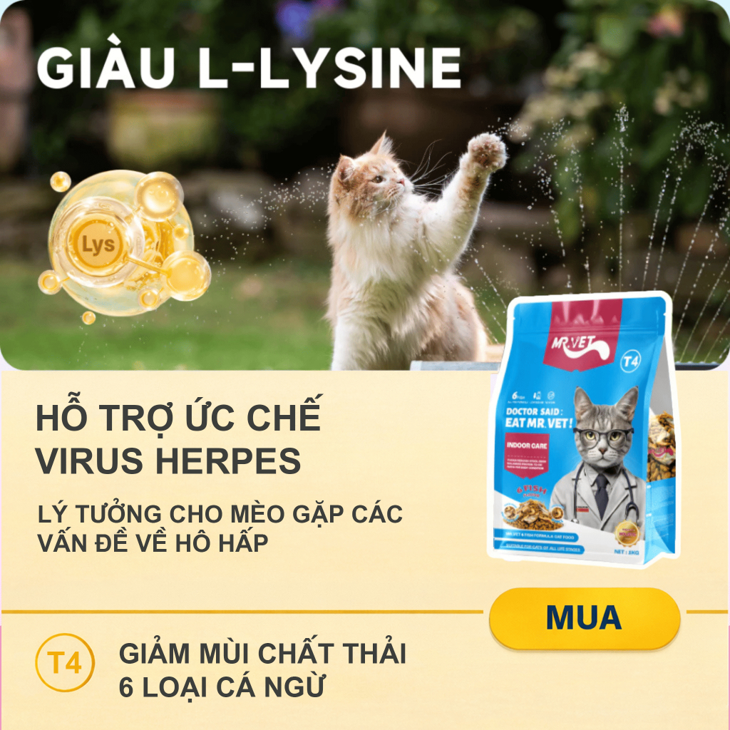 Hạt cho mèo MR.VET T4 Gói 1KG Công thức Đặc Biệt Phối Hợp 6 loại cá Cá ngừ, Cá hồi, Cá Bonito, Cá cơm, Cá tuyết