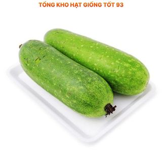 Bí đao xanh siêu trái lên mầm 98% (gói 5gram)- hàng công ty Loại 1