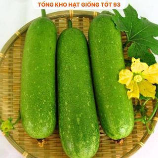 Bí đao xanh siêu trái lên mầm 98% (gói 5gram)- hàng công ty Loại 1