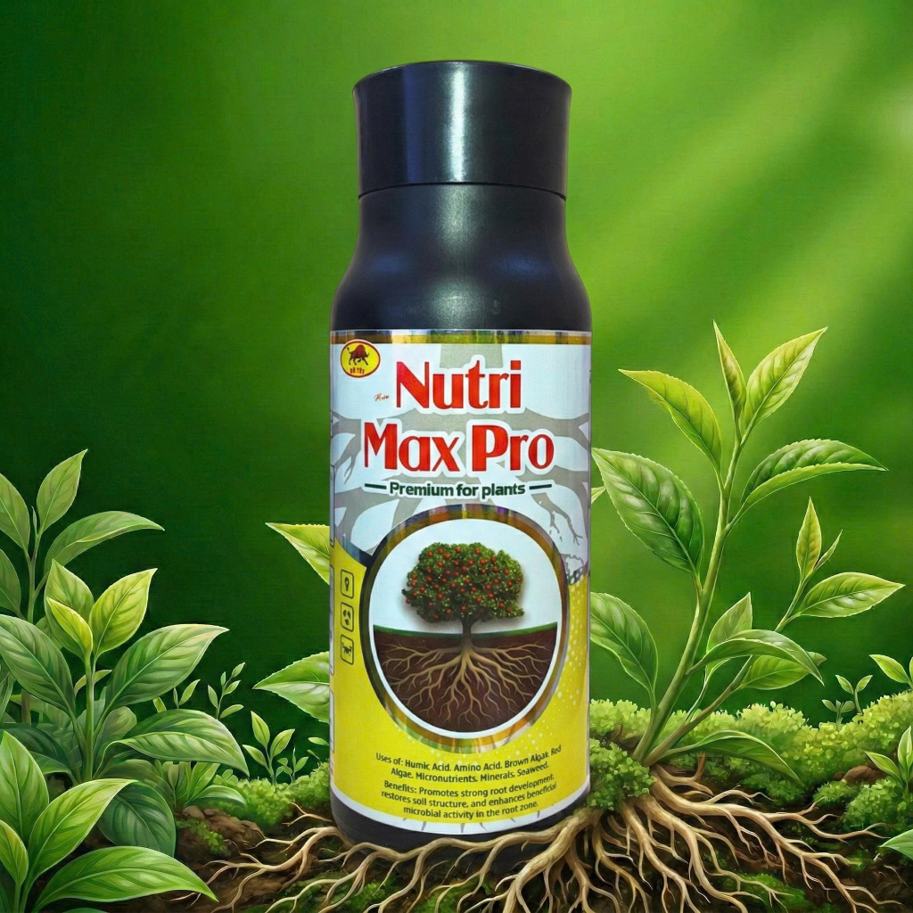 [NUTRI MAX PRO - 500ml] Bung chồi, vọt đọt, chồi mập, rễ khỏe, lá xanh dày