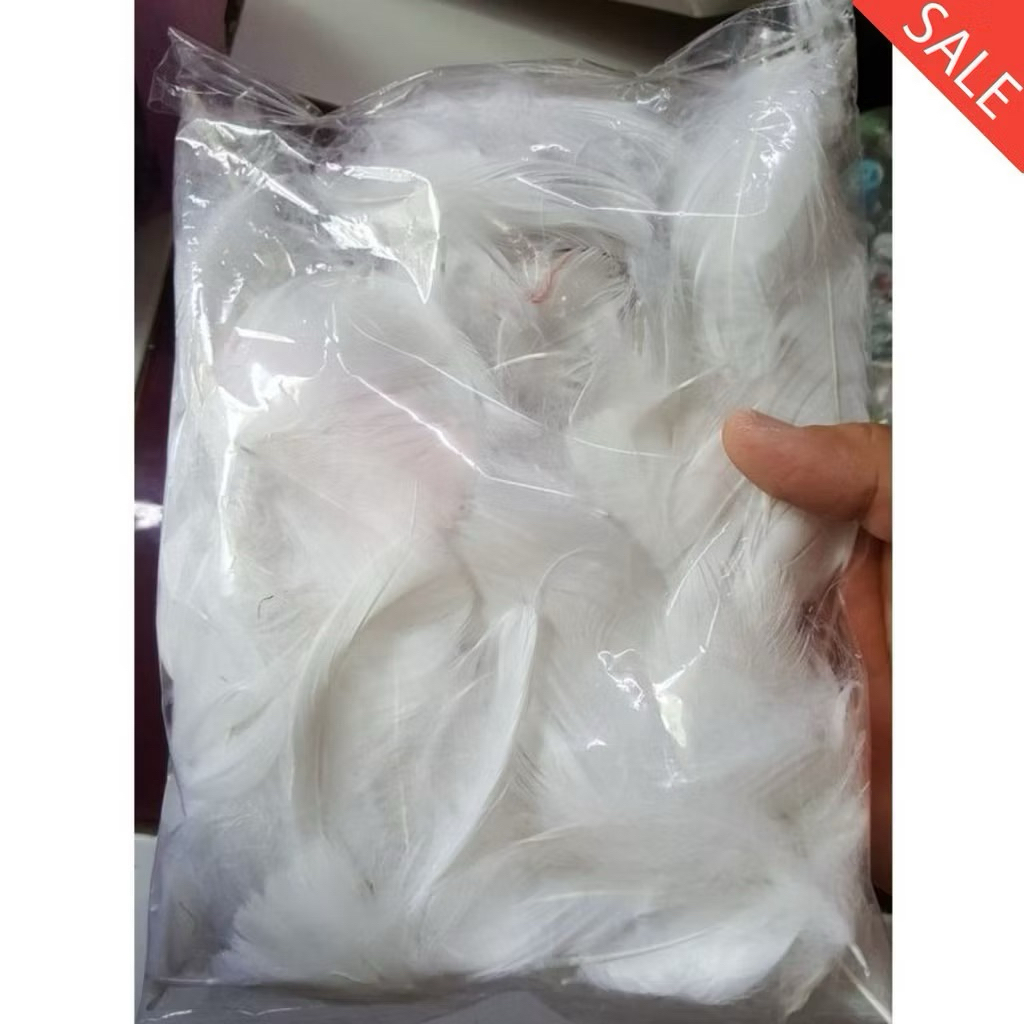 Lông vũ trang trí chụp ảnh bóng nổ 1000 lông (4-6cm) loại đẹp