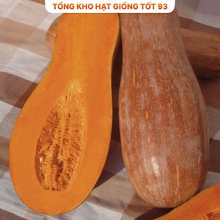 Hạt giống Bí đỏ CP (bí đỏ mật) hàng công ty Loại 1