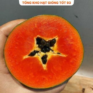 Hạt giống các loại dưa hấu dưa lê, trái cây  F1 nảy mầm tốt (hàng công ty) Loại 1