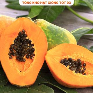 Hạt giống các loại dưa hấu dưa lê, trái cây  F1 nảy mầm tốt (hàng công ty) Loại 1