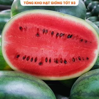 Hạt giống các loại dưa hấu dưa lê, trái cây  F1 nảy mầm tốt (hàng công ty) Loại 1