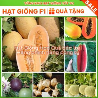 Hạt giống các loại dưa hấu dưa lê, trái cây  F1 nảy mầm tốt (hàng công ty) Loại 1