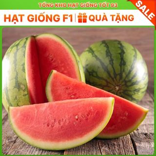 Hạt giống Dưa hấu F1 1gram hàng công ty Loại 1