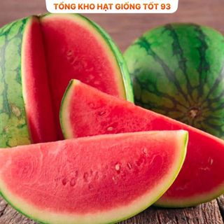 Hạt giống Dưa hấu F1 1gram hàng công ty Loại 1