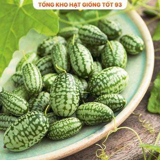 Hạt giống Dưa hấu mini tí hon hàng công ty Loại 1