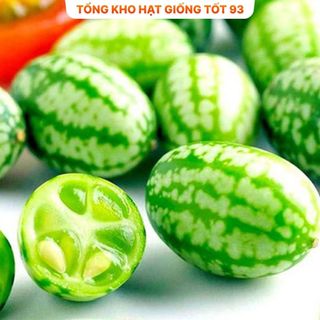 Hạt giống Dưa hấu mini tí hon hàng công ty Loại 1