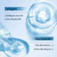 Kem Mắt Collagen Dưỡng Ẩm Làm Sáng Da Vùng Mắt Giảm Quầng Thâm Nhẹ Nhàng Chống Khô Phù Hợp Mọi Loại Da