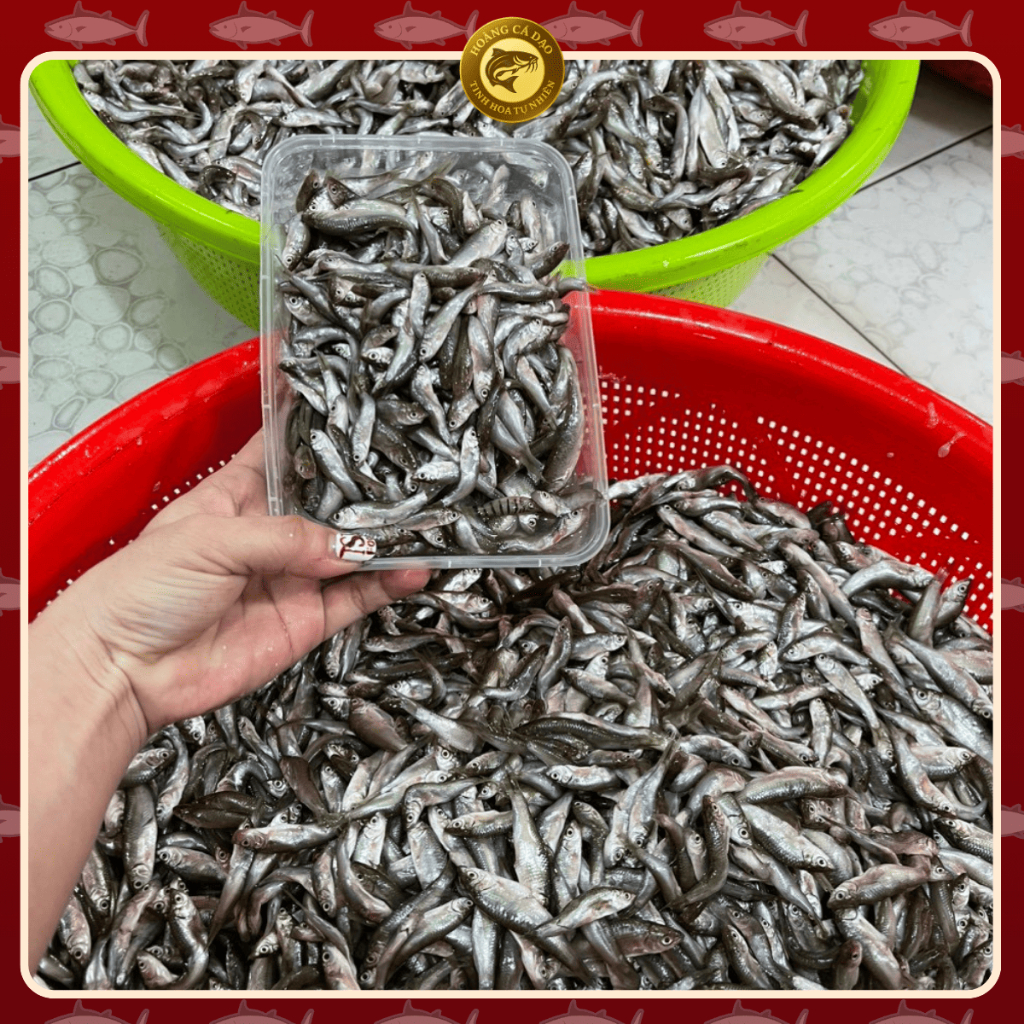 [Hỏa Tốc HN] Cá Linh Non Đặc Sản Mùa Nước Nổi Miền Tây - Đóng Gói 1KG, Hàng Tự Nhiên