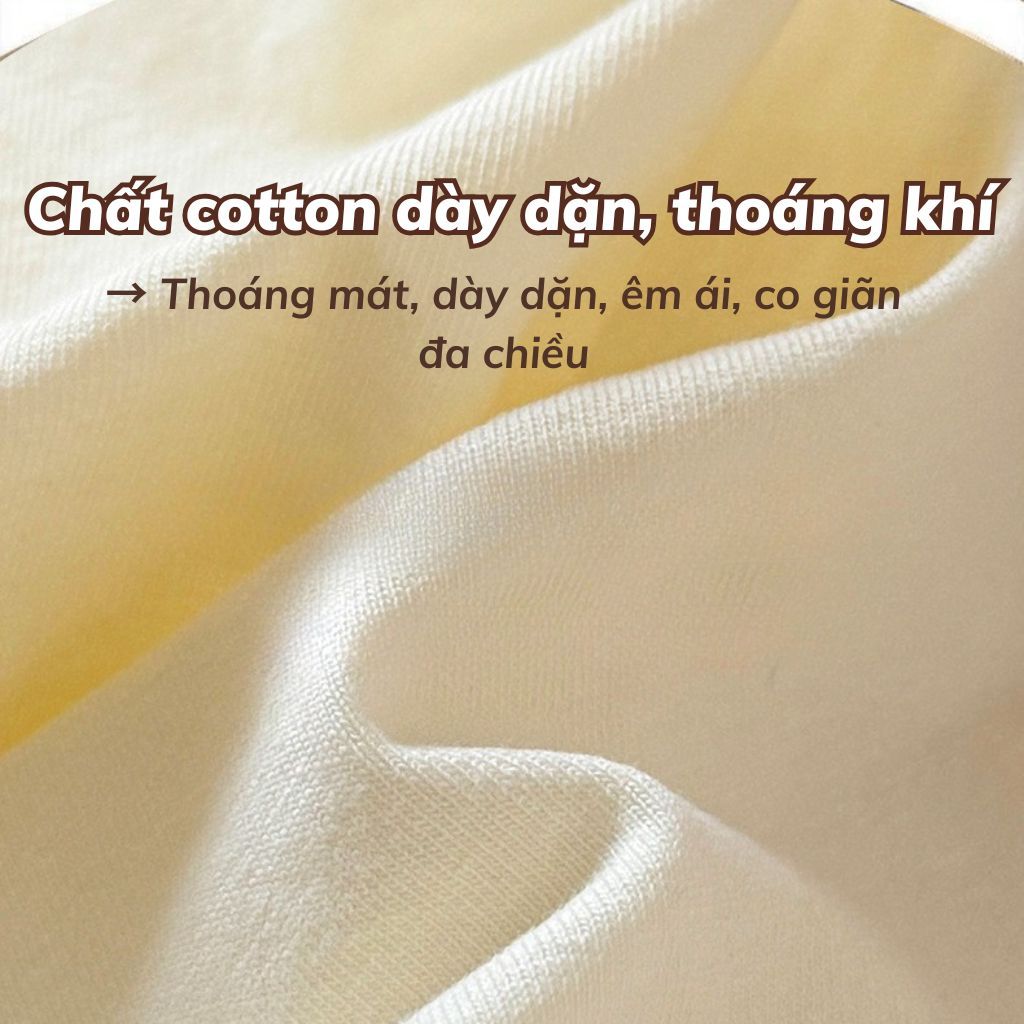 Quần lót nữ cotton kháng khuẩn cạp bo chun phối ren lưới sang trọng đáy lót thoải mái LANIXA L5310
