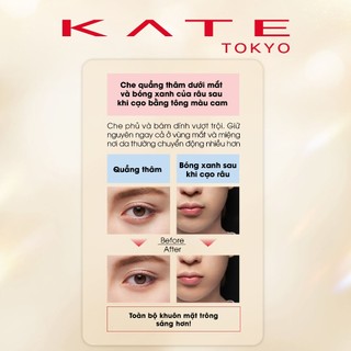 Bút Che Khuyết Điểm KATE Pinpoint Color Sniper Or 1.6g