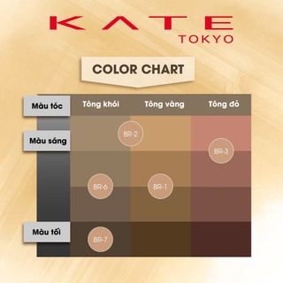 Mascara Lông Mày KATE 3D Eyebrown Color Z