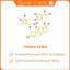 Viên uống Blackmores Evening Primrose Oil bổ sung Omega 6