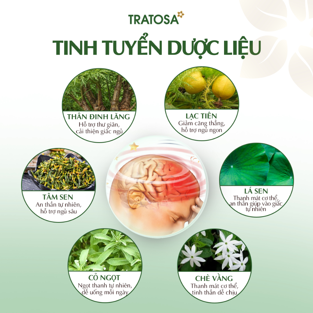Thiết Kế Của Trà Đinh Lăng Tâm Sen Tratosa 6 Vị Thảo Dược Tiêu Chuẩn