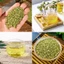 Hoa hòe đã sao thơm 500g, trà hoa hòe, nụ hoa hoè, thơm sạch, không lẫn tạp chất - Lãn Ông