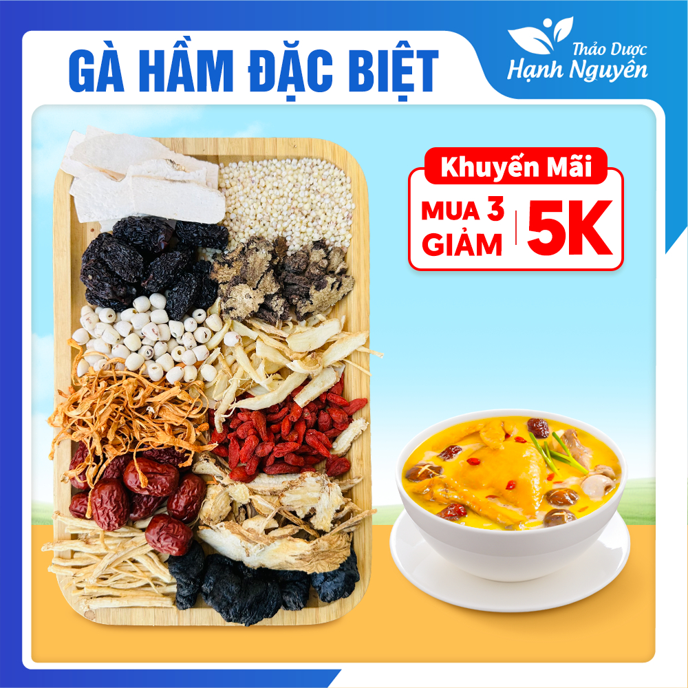 Gia vị hầm gà đặc biệt , set gia vị tiềm gà, lẩu gà, canh dưỡng sinh thơm ngon