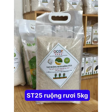 Gạo ST25 Ruộng Rươi Kiến Thụy, Gạo Ruộng Rươi Giống ST25 Hữu Cơ Gạo Ngon An Toàn OCOP 4 Sao Lão Nông
