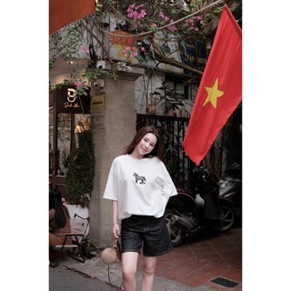 Quần Sooc Jean Nữ Cạp Cao Basic Trơn QCCC Cao Cấp
