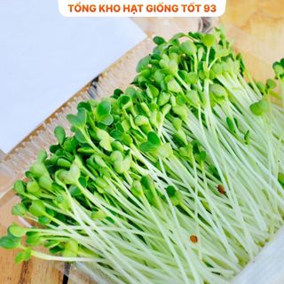 Hạt giống Rau Mầm Củ Cải gói 50gram- hàng công ty Loại 1