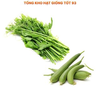 Hạt giống Mướp Siêu Đọt 1gr hàng công ty Loại 1