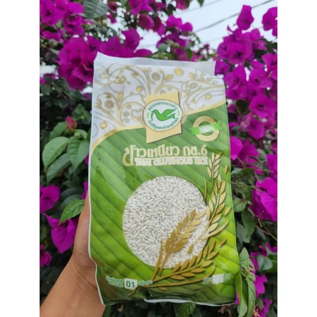 Gạo Nếp Thái Dr6 Thơm Ngon Loại 1