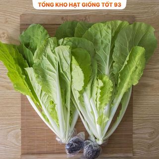 Hạt giống rau Cải Bẹ Dúm hàng công ty Loại 1